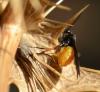 216987 – Photo : Liliane Delattre – France (30)